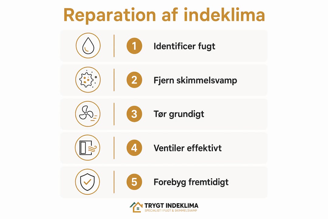 Visuel guide: Sådan får du et sundt indeklima igen efter en vandskade – trin for trin