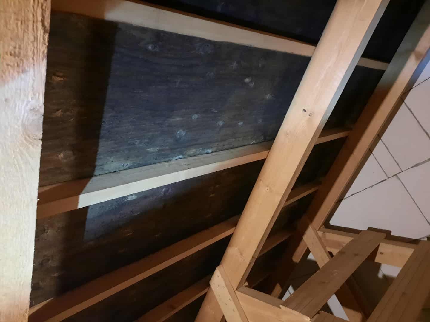 Mørkt, skimmelangrebet undertag set mellem spær på et loft