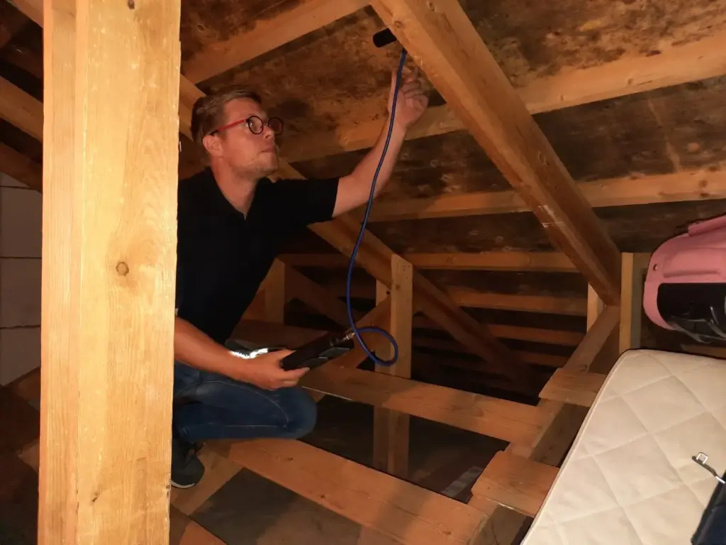 Indeklimakonsulent måler mellem spærene på et loft med mørk skimmelvækst