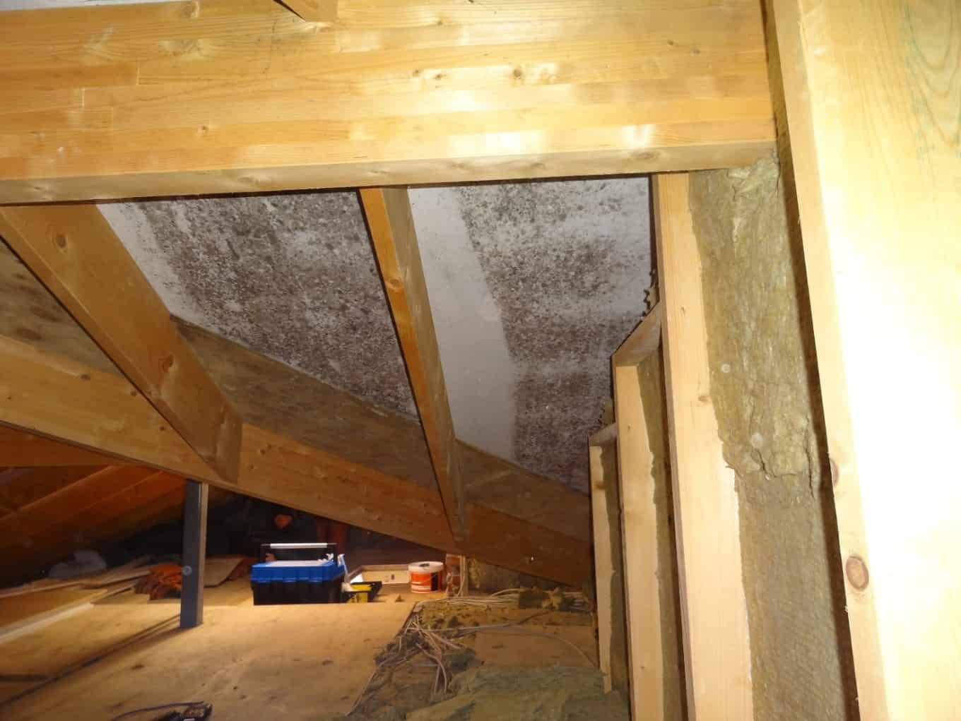 Mørk skimmelvækst på undertaget mellem spærene på et loft