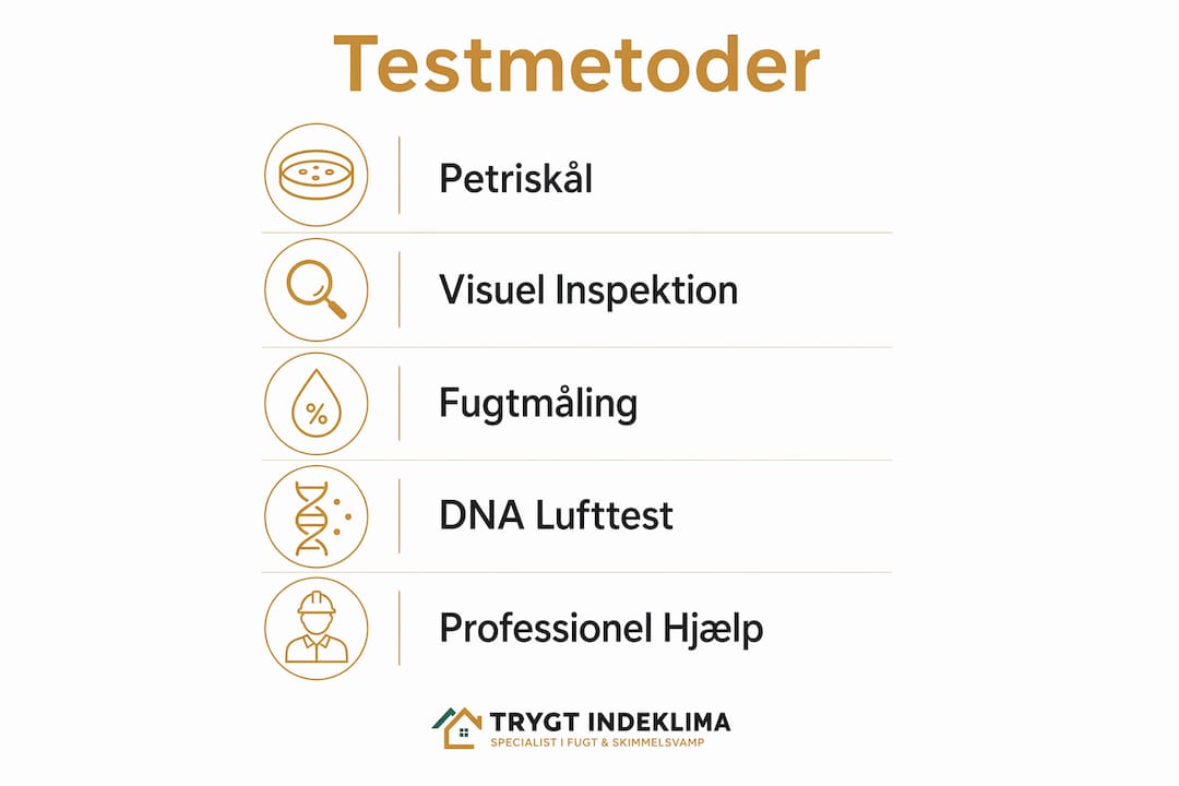 Oversigt: Sådan tester du for skimmelsvamp derhjemme
