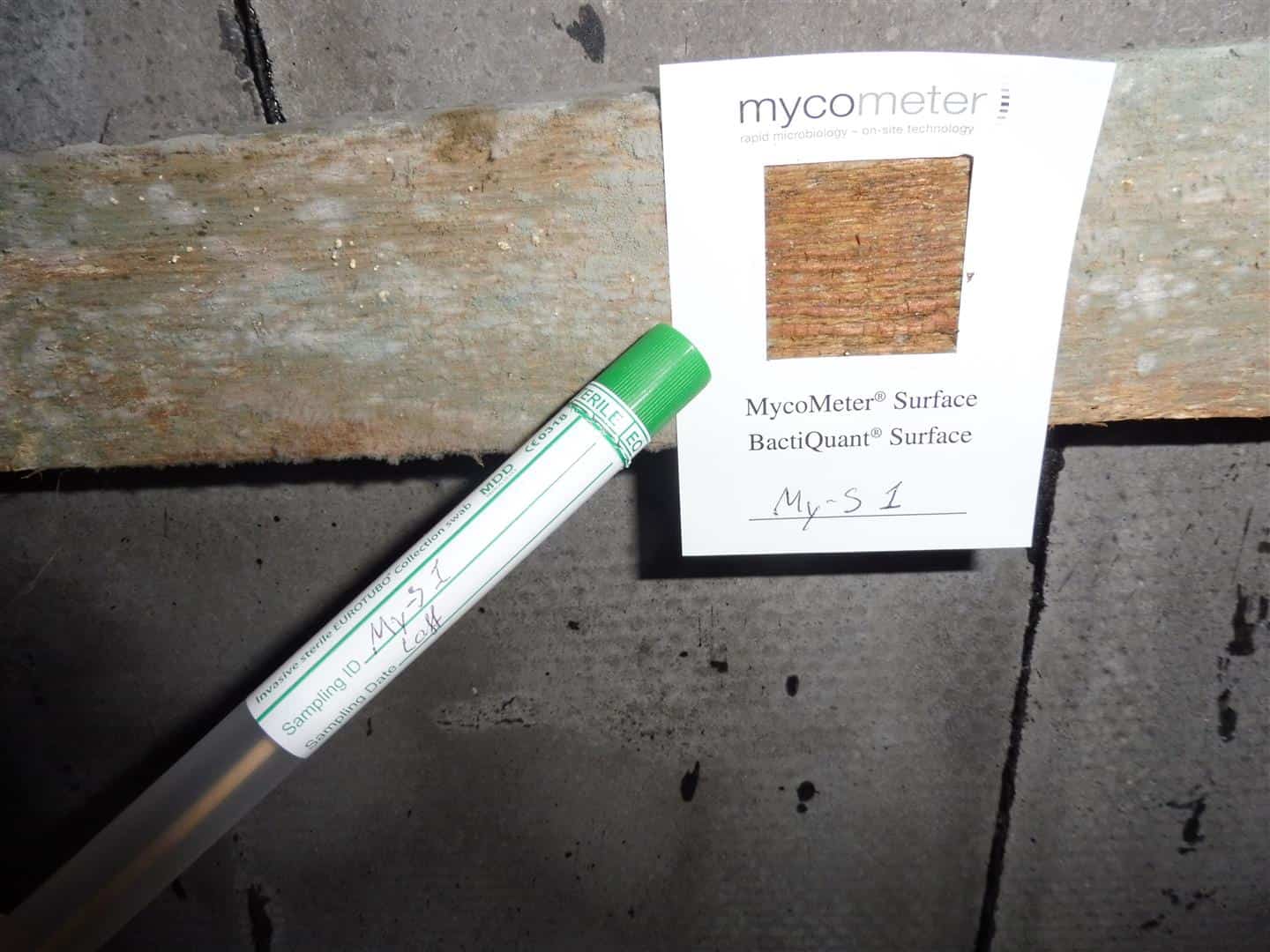 Mycometer-overfladetest lagt på loftsbrædder ved siden af et prøverør