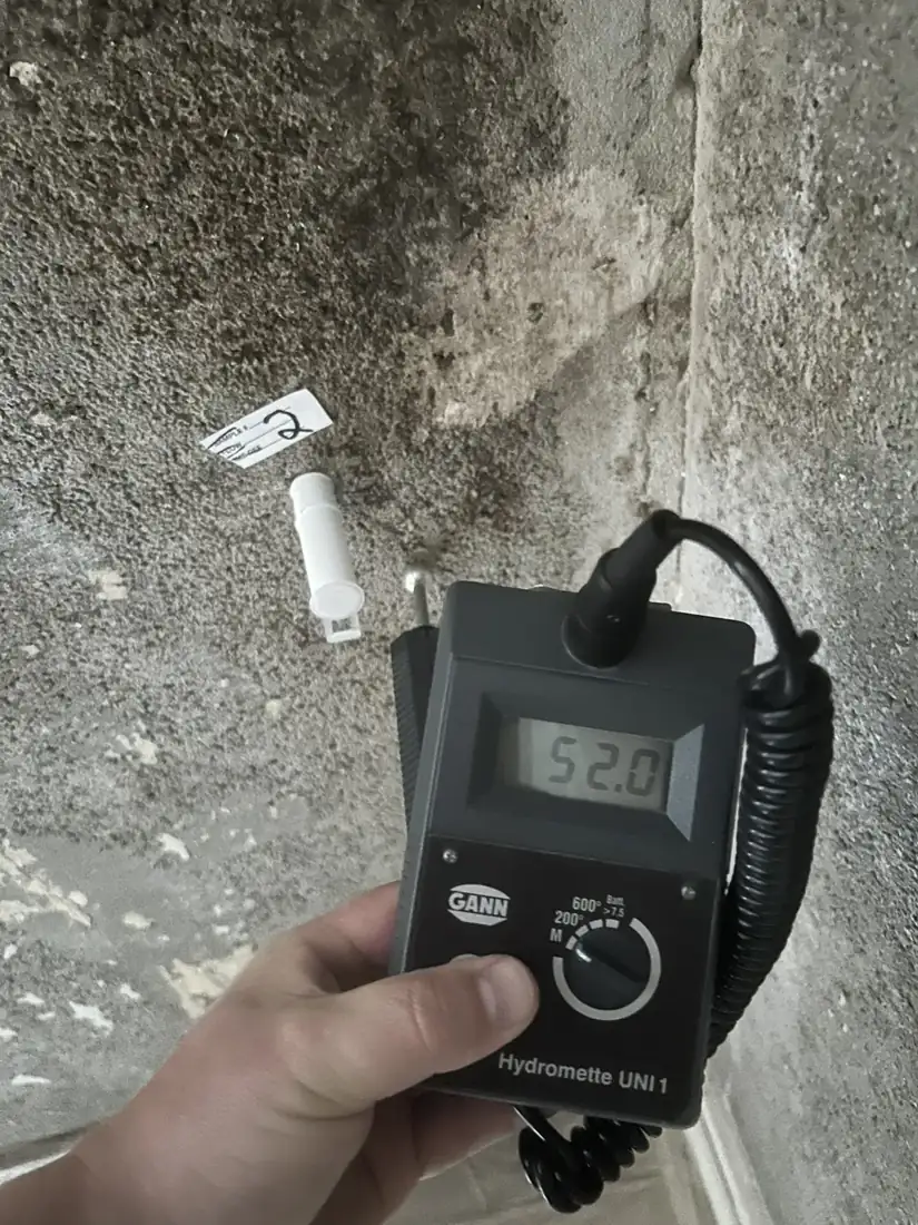 Fugtmåling på betonvæg med skimmelvækst