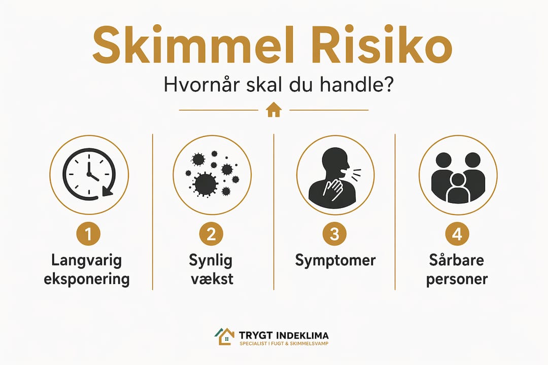 Oversigt: Sådan vurderer du risikoen for skimmelsvamp – trin for trin