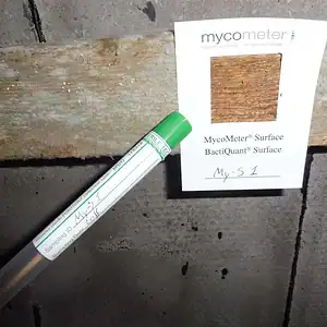 Udstyr til Mycometer Surface-overfladetest