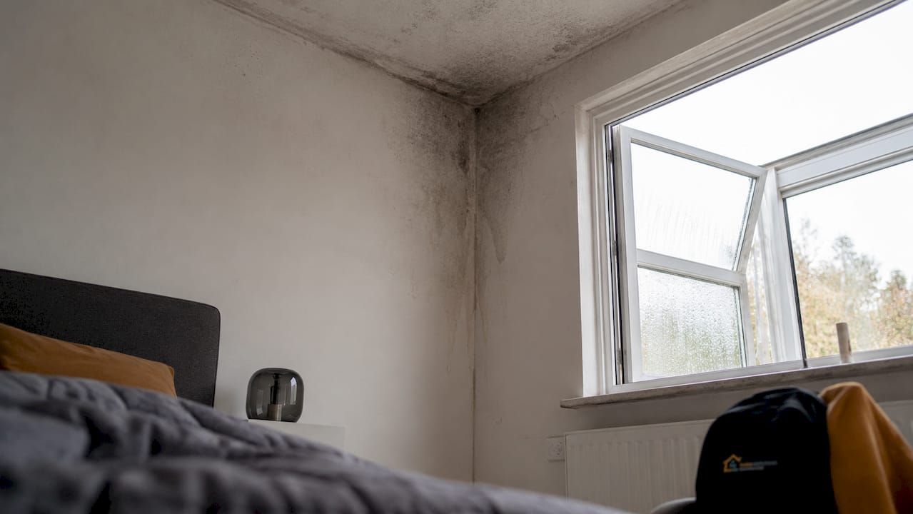 Fugtskader og skimmelsvamp i hjørnet af et dansk soveværelse – her måles fugtniveauet med en fugtmåler.