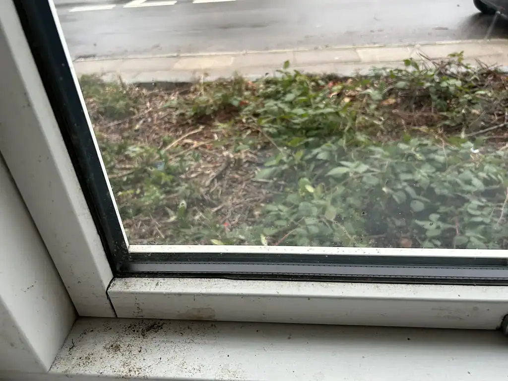 Snavset vindueskarm med skimmel